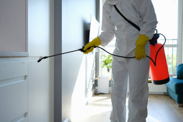 Mold Removal and Inspection in Fulton, MD