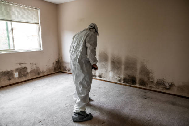 Best Crawl Space Mold Removal  in Fulton, MD